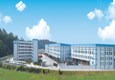 廣東都市麗人實業(yè)有限公司